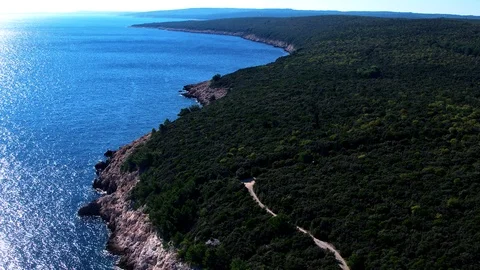 Forrest near the ocean Stock Footage 98462834
