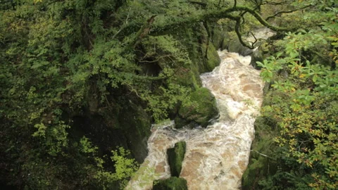Forrest River from Bridge Vidéo 141521091