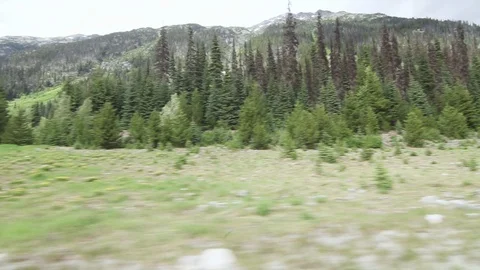 Forrest road Stock Footage 110382494