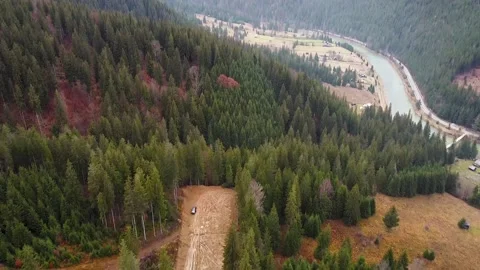 Forrest Road In Mountains Stock Footage 143638062