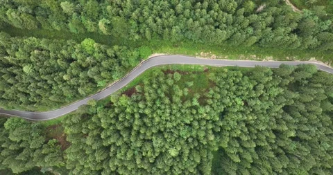 Forrest road, twisting curvy driving road, aerial top down view. Winding 스톡 동영상 228778204