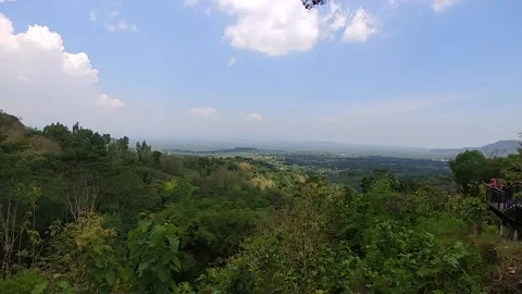 Forrest Scenery from the hill Stock Footage 144157827
