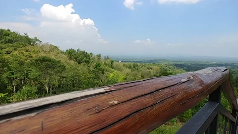 Forrest Scenery from the hill Stock Footage 144157862