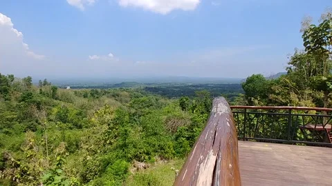 Forrest Scenery from the hill Stock Footage 144158097