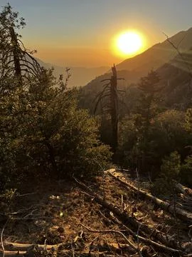 Forrest sunset over mountains Stock Photos