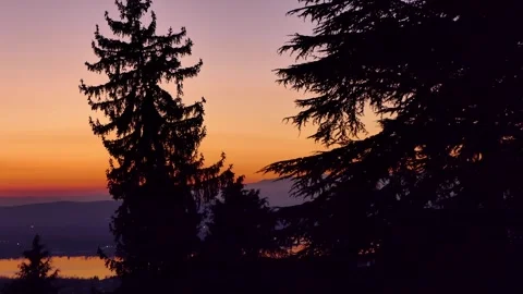 Forrest sunset through trees to mountain 스톡 동영상 280370189