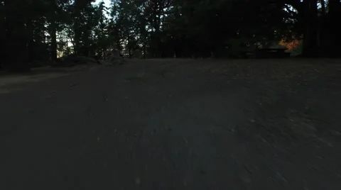 Forrest Tree Line Ascending Over Mountain Stock Footage 63637829