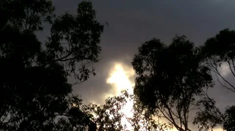 Forrest Treetops Sunrise Timelapse Stock Footage 12733944
