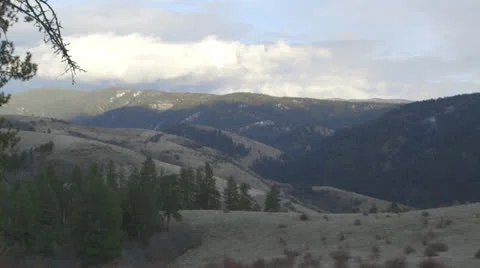 Forrest View Stock Footage 24753411