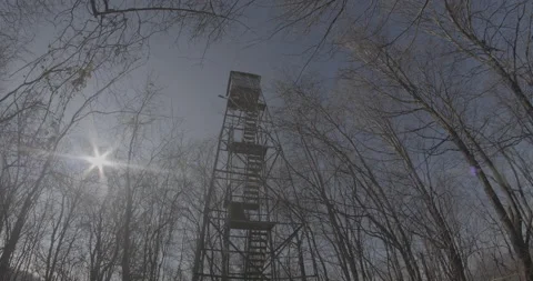 Forrest Watchtower Stock Footage 169427805