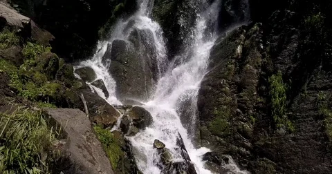 Forrest waterfall Stock Footage 77681180