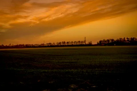 Forrest10 Foto stock