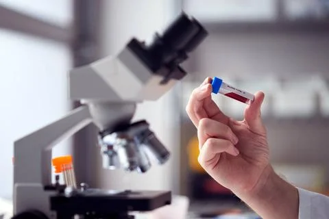 Forschung,labor,blutgruppe,null,forschen,laboratorien,laboratorium,labore,... Stock Photos