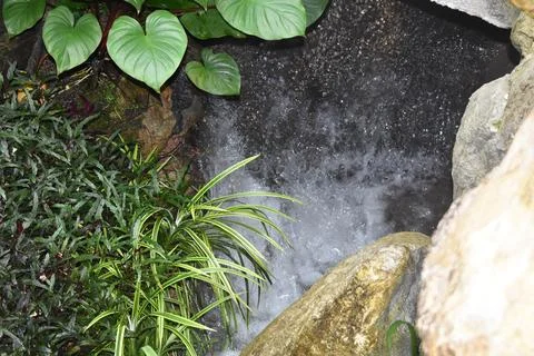Forsgate Conservatory - Botanical garden at Hong Kong Park Stock Photos