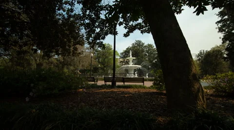 Forsyth Fountain Through the Trees 4k Video stock 46966951