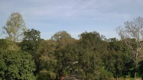 Forsyth Park Fountain on St. Patrick's Day in Savannah Georgia Stock Footage 245320568