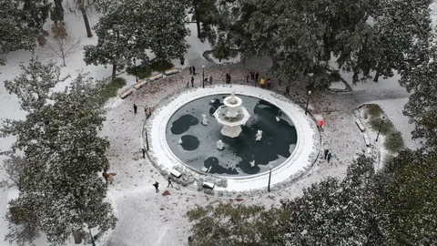 Forsyth Park, Savannah in the Snow Stock Footage