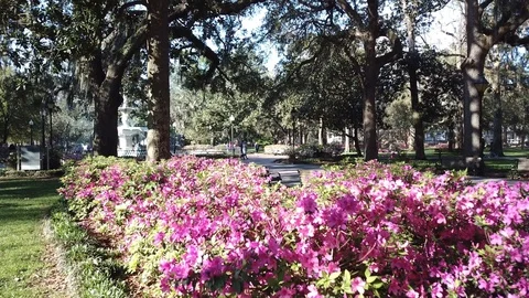 Forsyth Park in Spring Vídeo Stock 87100909