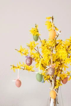 Forsythia and easter eggs on a white background. Easter holidays Foto stock