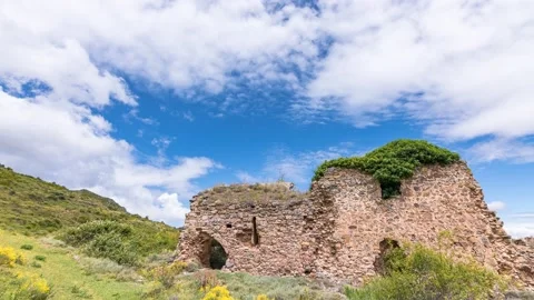 Fort Alamo Video stock 156330477