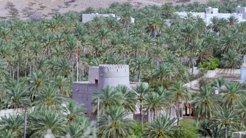 Fort Between Palm trees in Boshar Village, Muscat, Oman Stock Footage 196002384