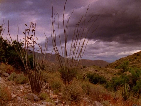Fort Bowie desert Stock Footage 86751251