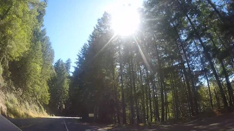 Fort Bragg drive Stock Footage 91611143