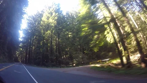 Fort Bragg drive Stock Footage 91611564