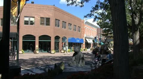 Fort Collins bear statue and shops Vidéo 18545986