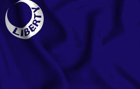 Fort Moultrie Stock Illustration