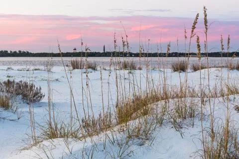 Fort Pickens Dune Stock Photos