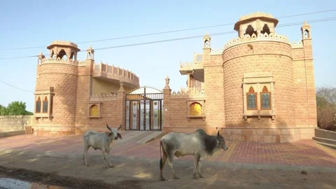 Fort-Style Building with Cows Video stock 325089691