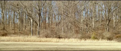 Fort Washington Park Before Spring Stock Footage 172347580