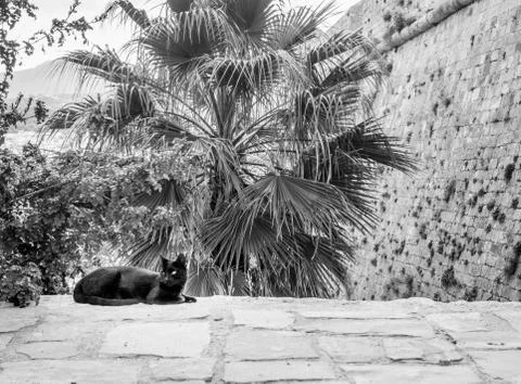 Fortezza of Rethymno Stock Photos