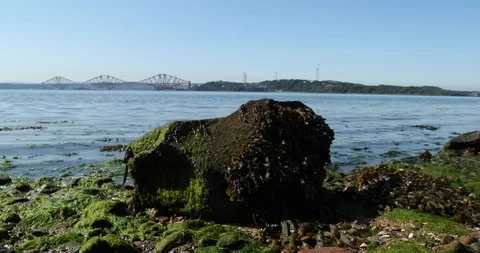 FORTH BRIDGE Stock Footage 101312003