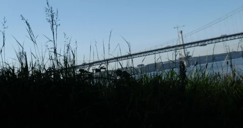 Forth Bridge Stock Footage 101312610