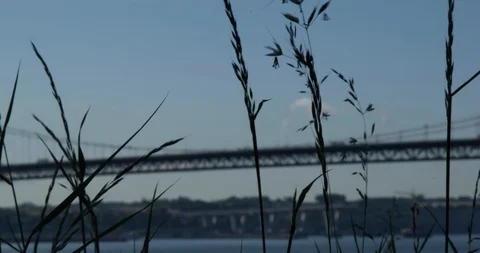 Forth Bridge Stock Footage 101313217