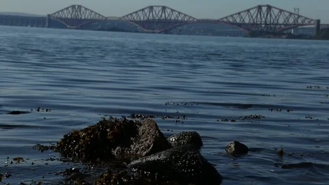 Forth Bridge Stock Footage 101313712