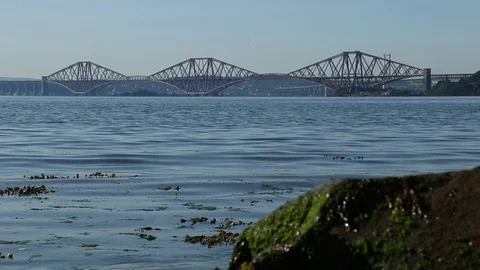 Forth Bridge Video stock 101313776