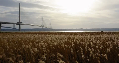 Forth Road Bridge Grasslands Flyover Man Walking 2019 Stock Footage 103953546