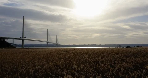 Forth Road Bridge Grasslands Flyover 2019 Stock Footage 103976291