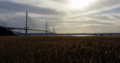 Forth Road Bridge Grasslands Flyover 2019 1 Stock Footage 103982514