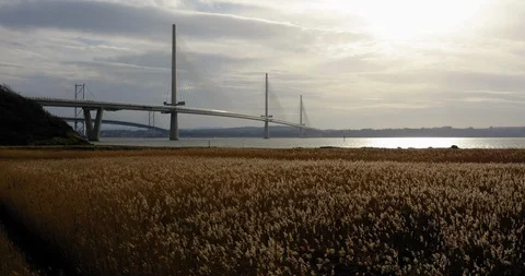 Forth Road Bridge Grasslands Scene 2019 Stock Footage 103983749