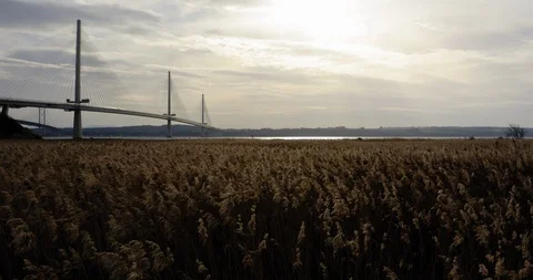 Forth Road Bridge Grasslands Slow Flyover 2019 Stock Footage 103988858