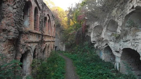 Fortifications Overgrown with Trees, Second World War Stock Footage 99144455