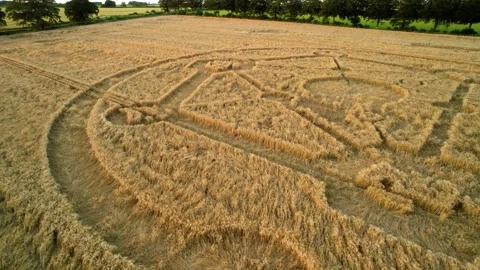Fortnite molecular atom crop circle design sunset harvest meadow aerial Stock Footage 161947745