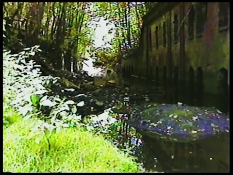 Fortress Duck Stock Footage 342688094