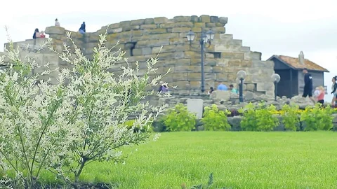 Fortress wall 動画素材 78069127