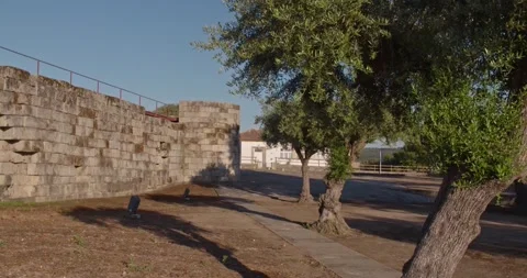 Forts covering olive trees 스톡 동영상 143263525