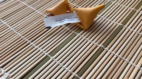 Fortune Cookie Stock Footage 273597623